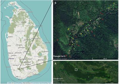 Complex Small-Holder Agriculture in Rainforest Buffer Zone, Sri Lanka, Supports Endemic Birds